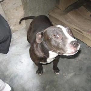 Meet your Posher, Julio